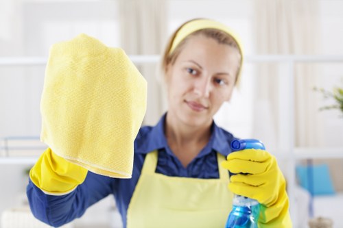 Local cleaner working in a Putney home with careful attention to detail