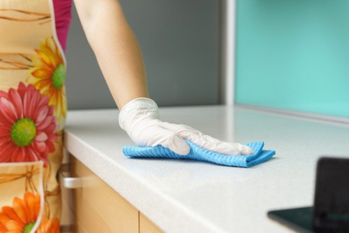 A cleaner preparing a living room in a Putney home