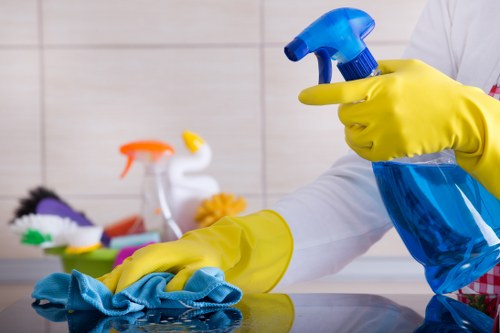 Cleaning team preparing for a deep cleaning appointment