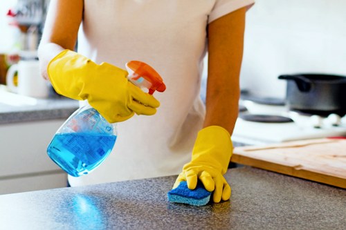 Professional upholstery cleaning service for a sofa in a Putney home