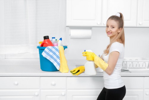 Cleaning professional in Putney using safe deep cleaning equipment
