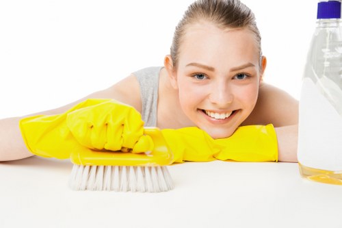 Local Putney cleaners handling a deep clean in a modern apartment