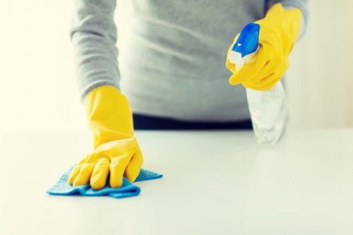 Professional cleaning tools arranged for a property deep clean