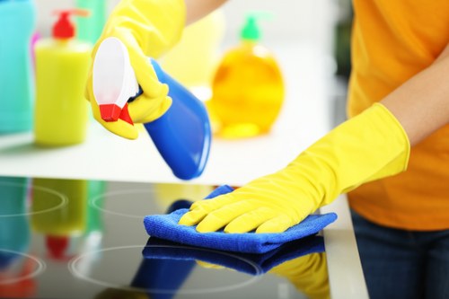 Detailed post-construction dust removal in a Putney kitchen