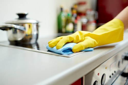 Detailed tenancy cleaning checklist for a property in Putney