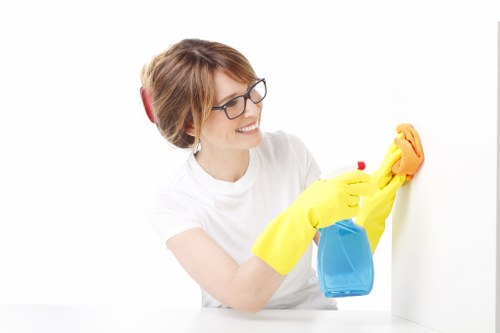 Local carpet cleaner treating stairs and hallway carpets in Putney