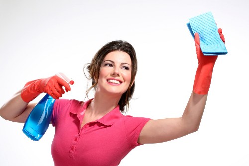Regular cleaning support for a Putney household or local business