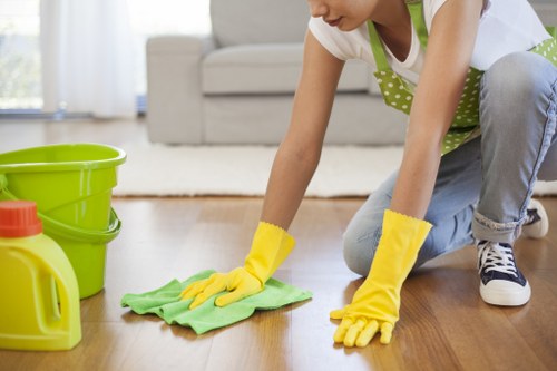 Image 3 representing screen-reader friendly Deep Cleaning Putney information