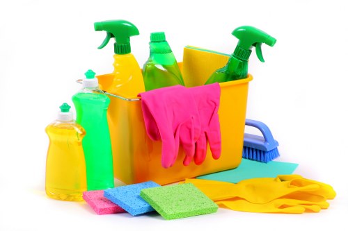 Domestic cleaning service in Putney covering kitchen and living areas