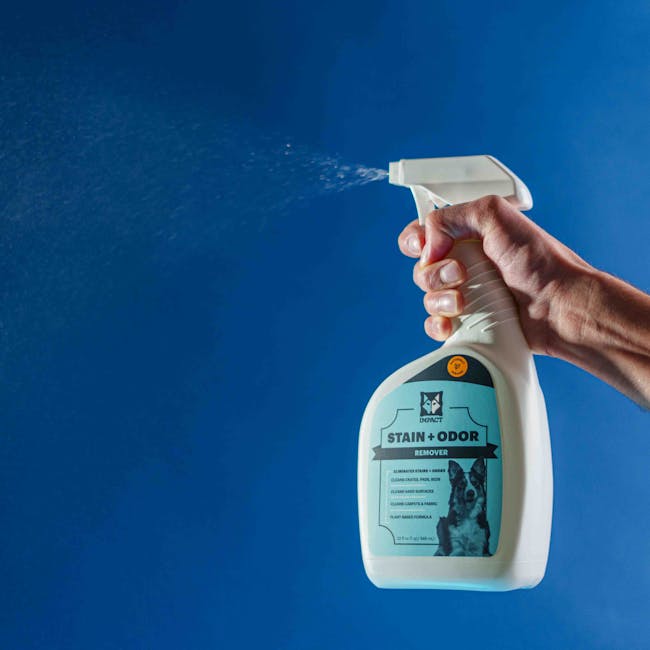 A close-up of a hand holding a white spray bottle labeled 'Stain + Odour Remover' from Deep Cleaning Putney, aiming the spray nozzle at a surface. The background is a plain, vibrant blue wall, with soft, even lighting highlighting the clean, smooth surface of the bottle and the spray mist. The scene emphasizes surface cleaning, sanitisation, and odour removal processes typically used in deep cleaning and domestic cleaning services to maintain hygiene, especially for residential spaces. The image reflects professional hygiene maintenance practices for helping Putney renters address pet stains and odours, aligning with the 'Pet stain and odour removal services for Putney renters' page.