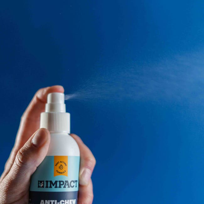 A hand holding a white spray bottle labeled 'IMPACT' with a spray nozzle, releasing a fine mist onto a blue-painted wall. The spray bottle is positioned in the foreground, with the person's thumb pressing the trigger. The background shows a smooth, clean wall surface with a subtle sheen, indicating recent deep cleaning or sanitisation. The lighting highlights the spray action and the surface's even finish, suggesting a professional cleaning process involving surface cleaning and disinfection. This image demonstrates the use of specialised cleaning products by Deep Cleaning Putney for effective sanitisation in residential or commercial spaces.